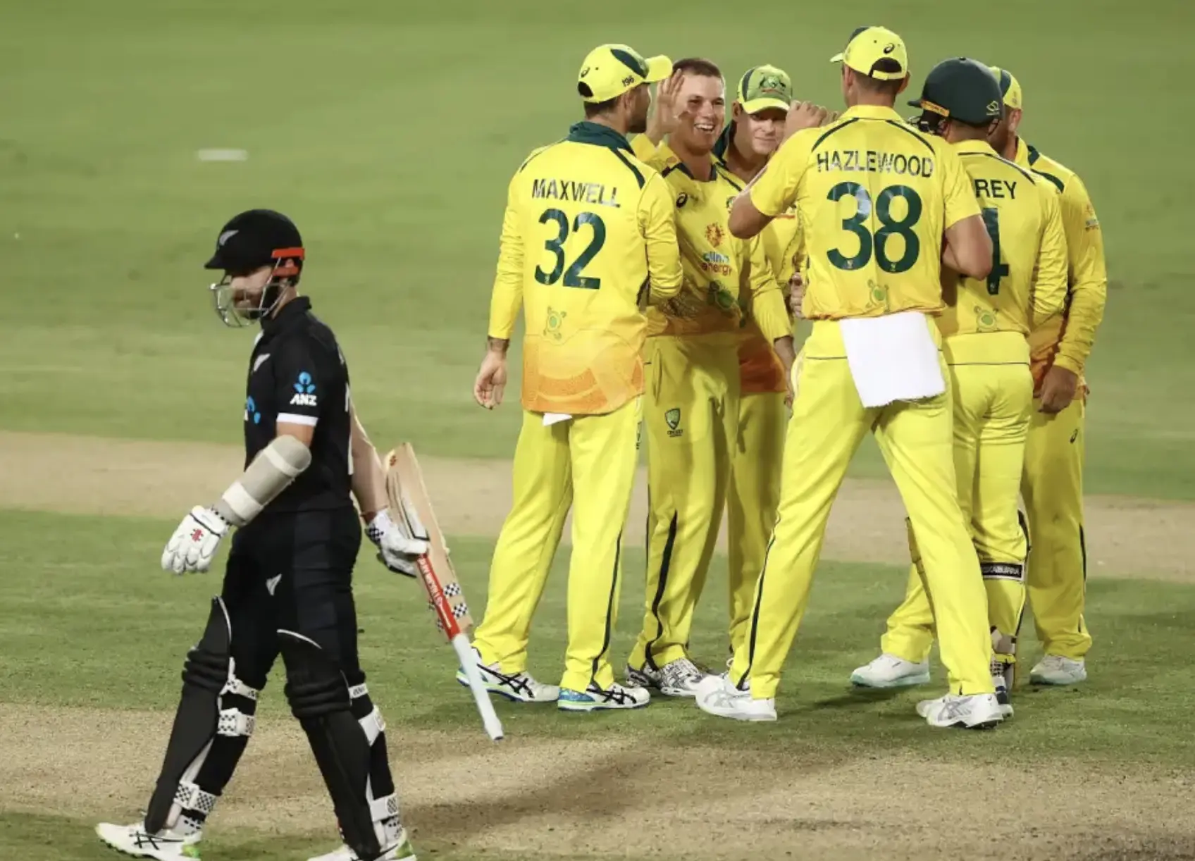 Australia defeated New Zealand by 113 runs.