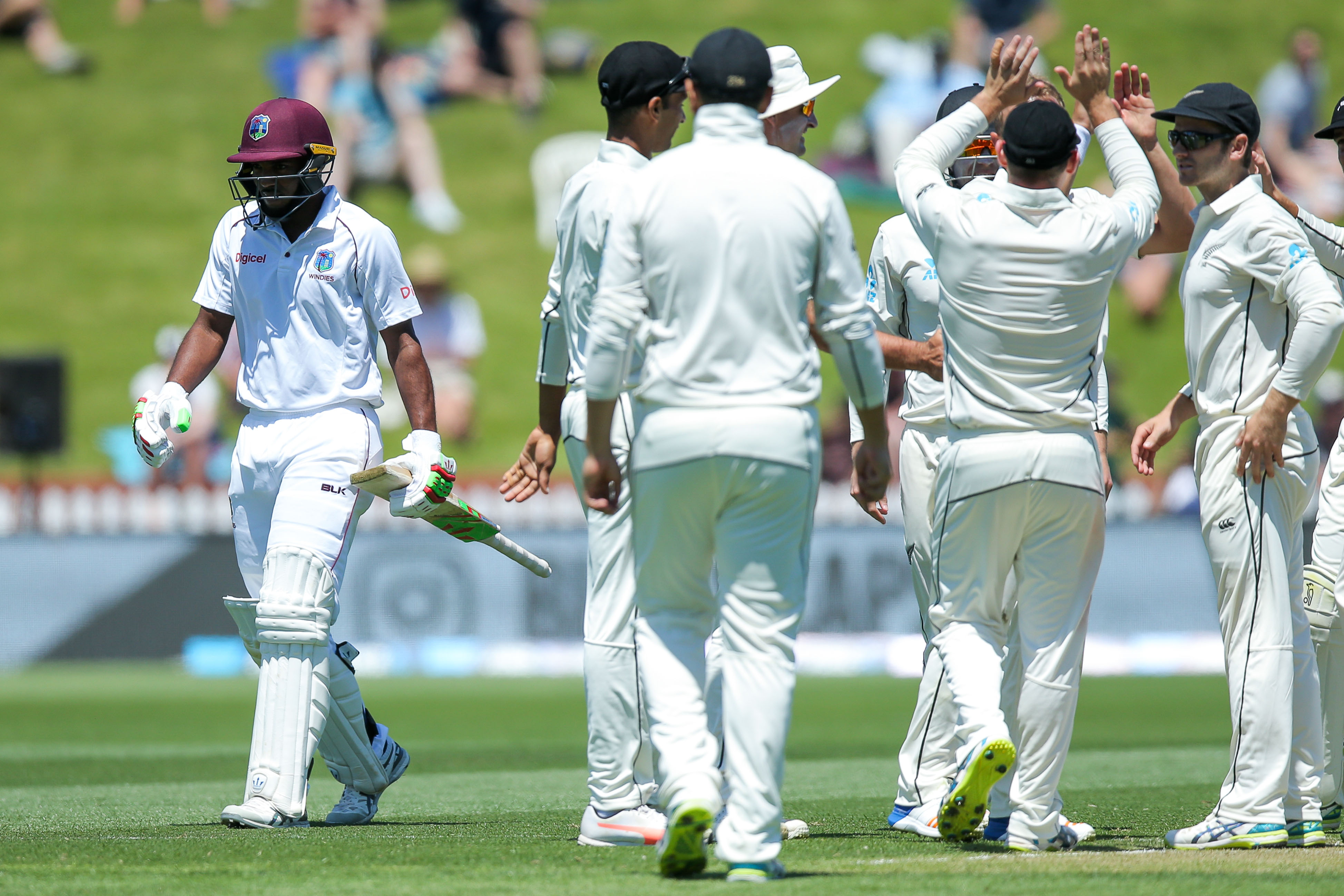 WATCH | Kiwi players cannot stop laughing as Sunil Ambris gets out hit wicket, AGAIN