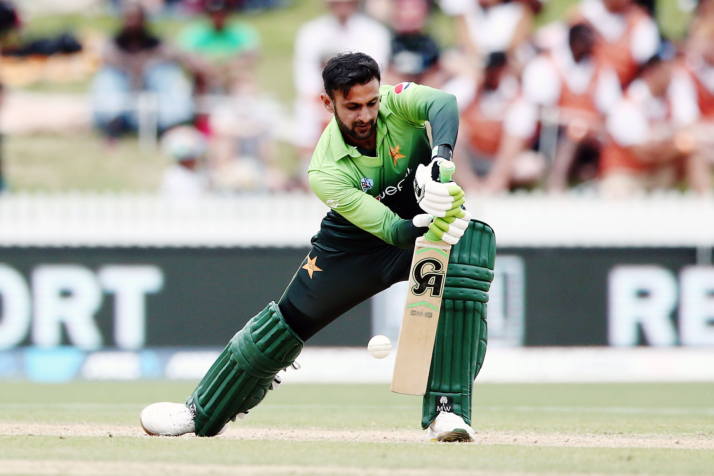 NZ vs PAK | Hafeez and Riaz picked in T20I squad; Amir and Shoaib Malik left out by selectors