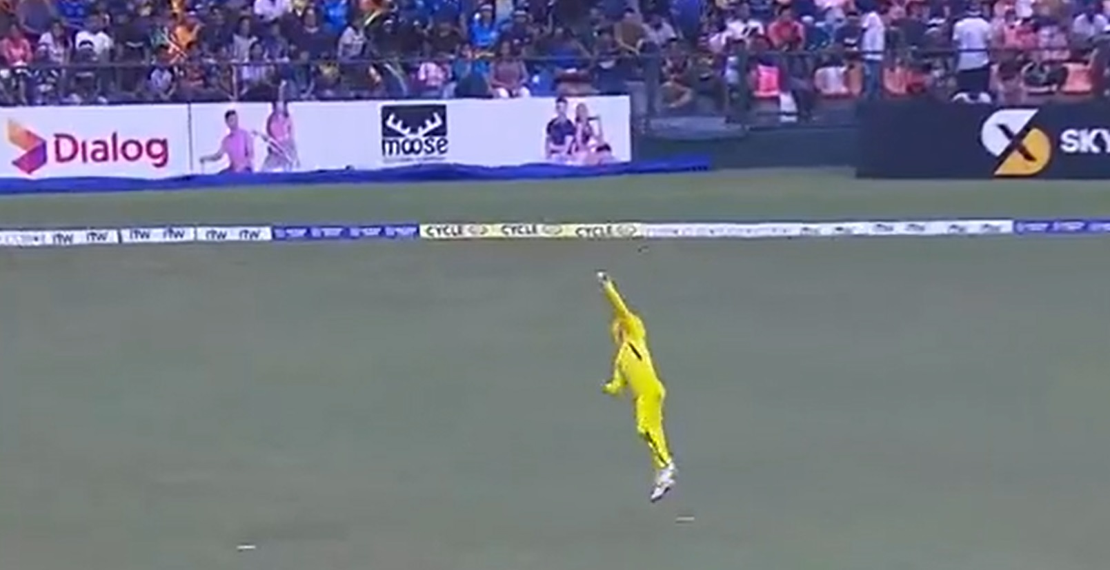 David Warner took a one-handed blinder versus Sri Lanka