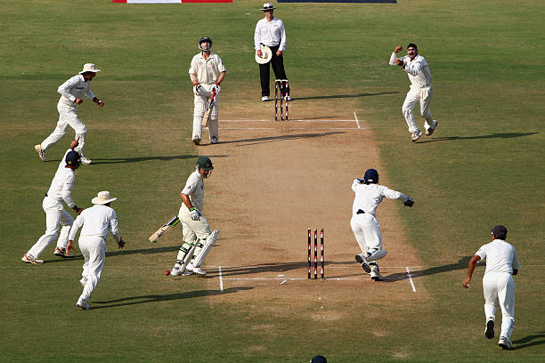 Harbhajan Singh celebrating Ricky Ponting's wicket in Nagpur.