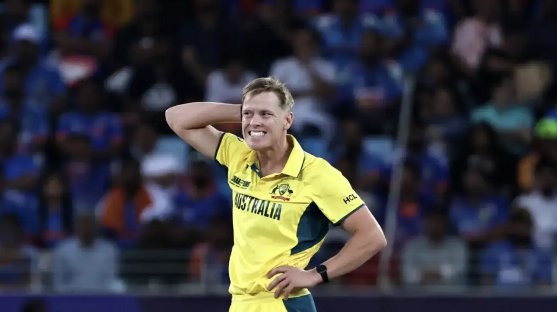 Nathan Ellis was born on September 22, 1994.