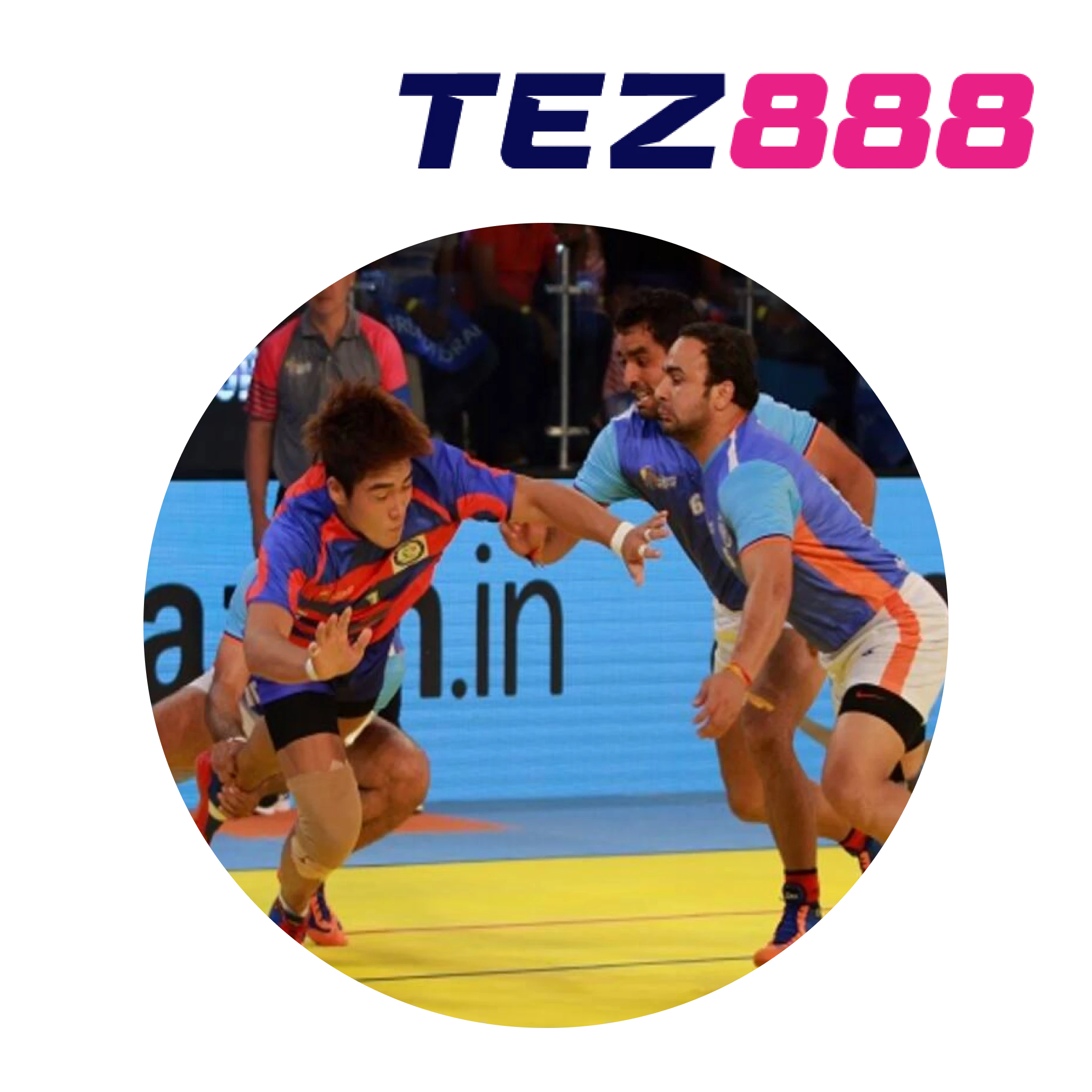 Tez888 offers a trusted platform for kabaddi betting with a variety of options.