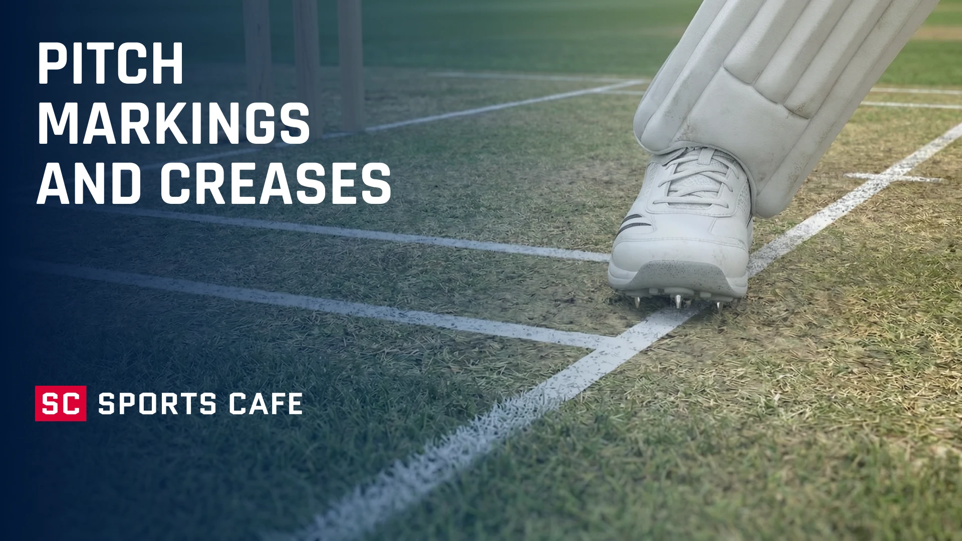 pitch-markings-and-creases.