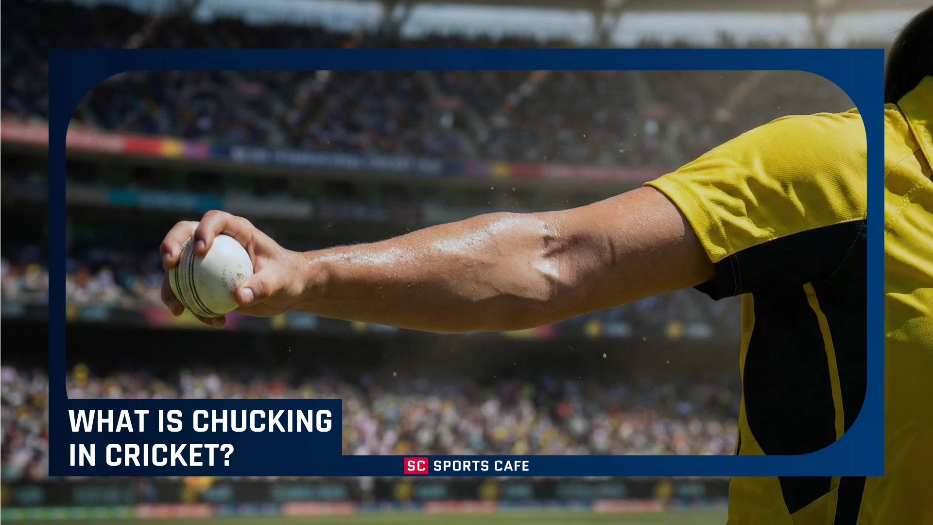 what-is-chucking-in-cricket.